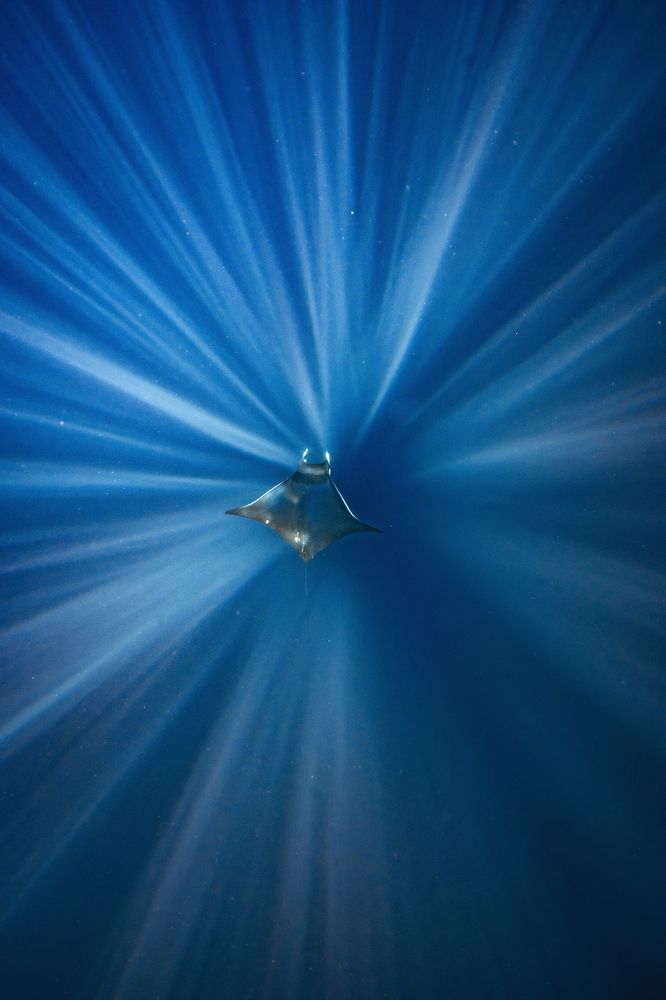 Photograph by Merche Llobera