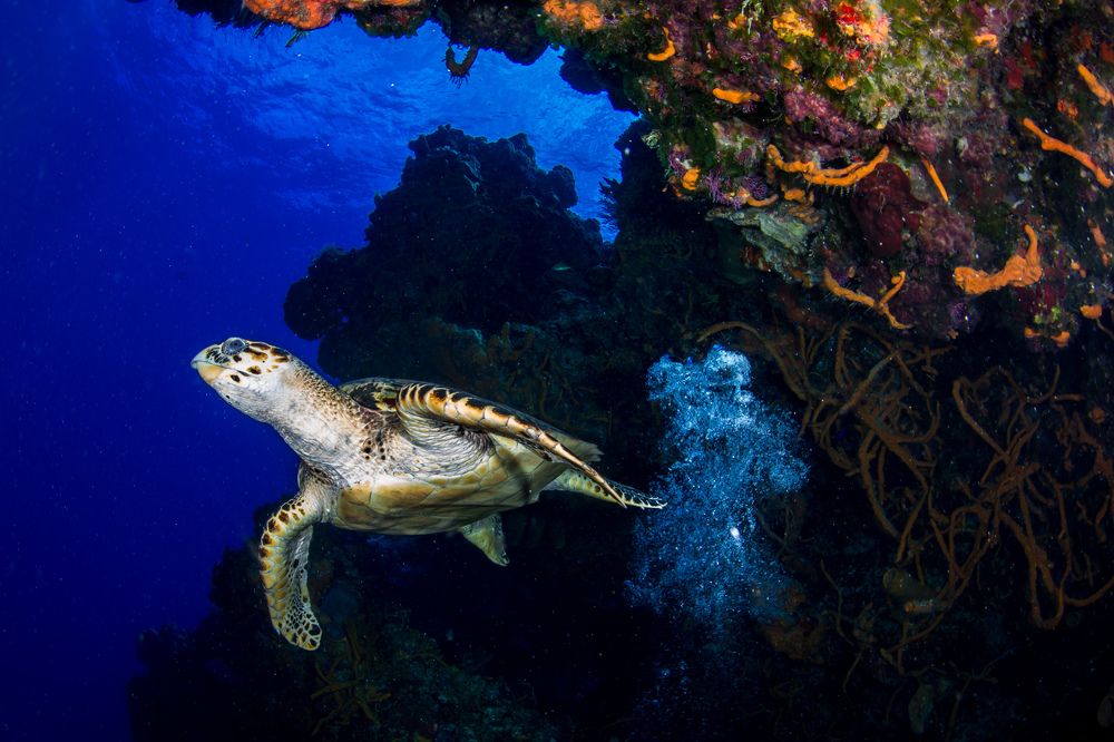 Photograph by Alfonso Montes