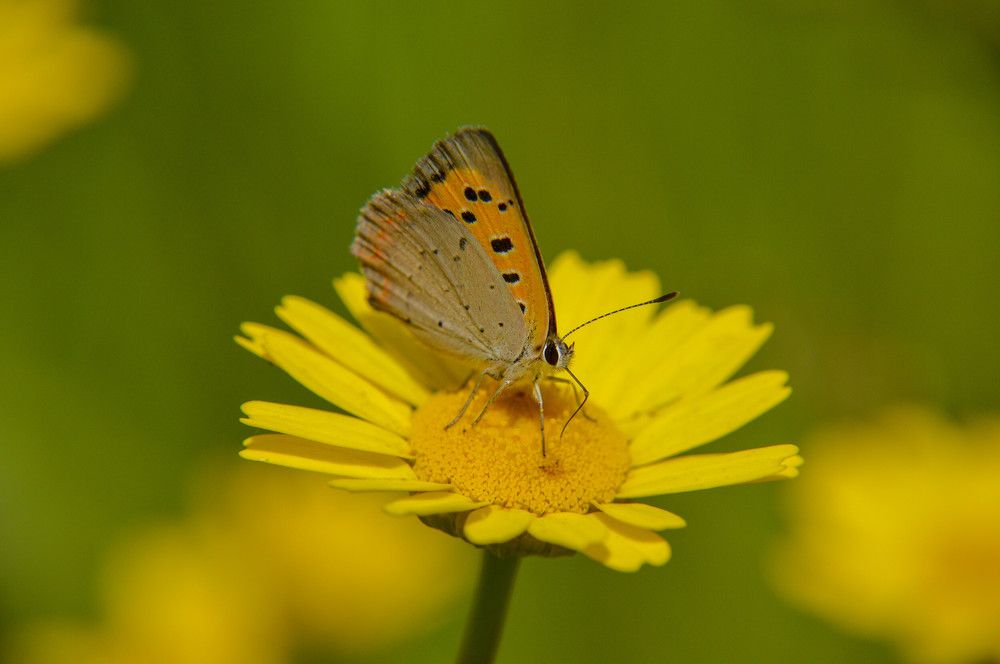 Photograph by Alexandros Melidis