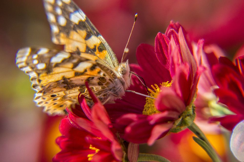 Photograph by Alexandros Melidis