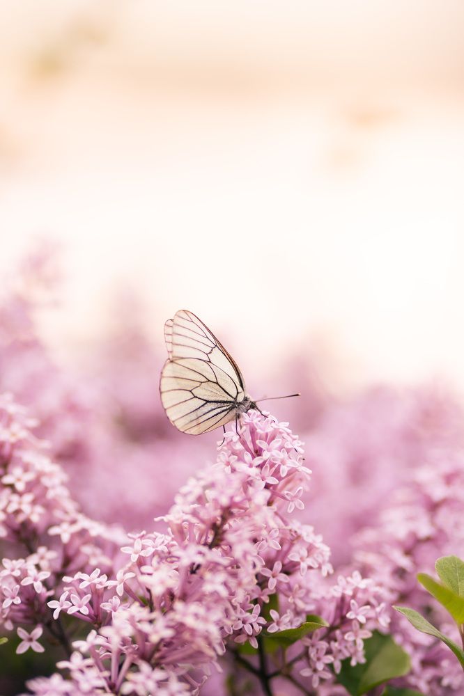 Photograph by Ольга Таланцева