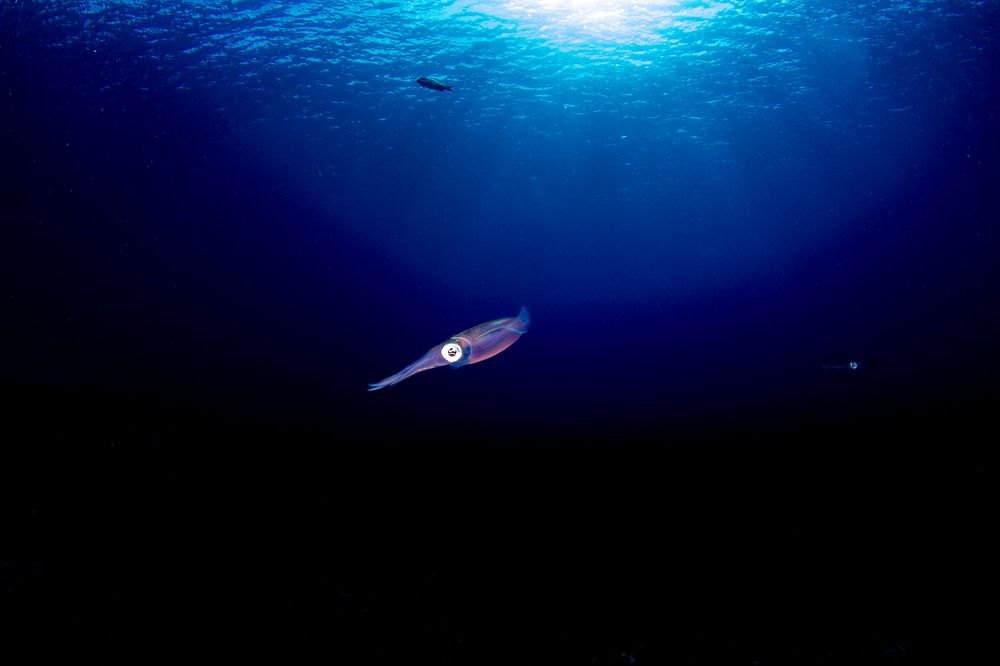 Photograph by Alfonso Montes