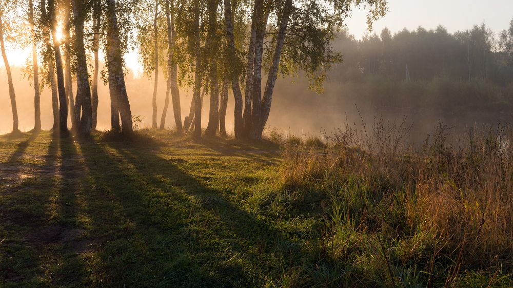 Photograph by Владимир Безбородов