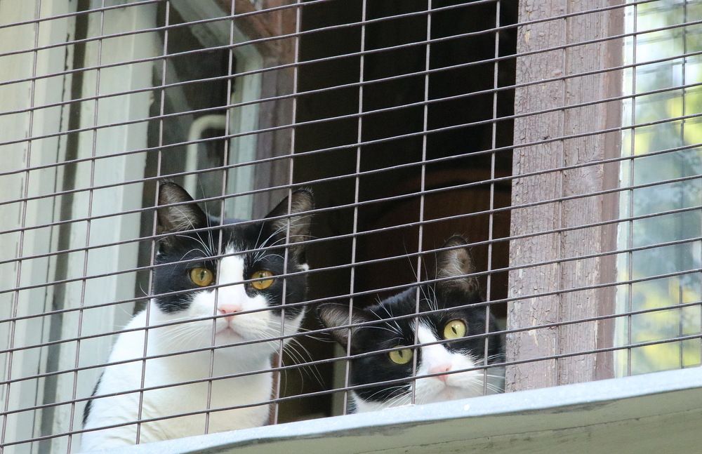 Photograph by Юрий Чистяков