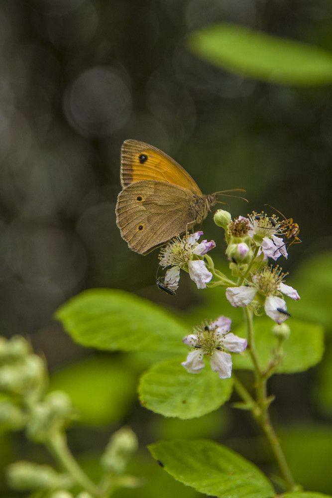 Photograph by Alexandros Melidis