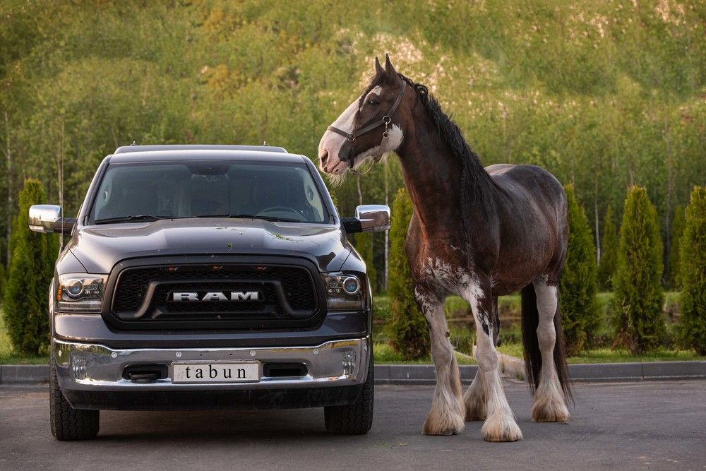 Photograph by Елена Мороз