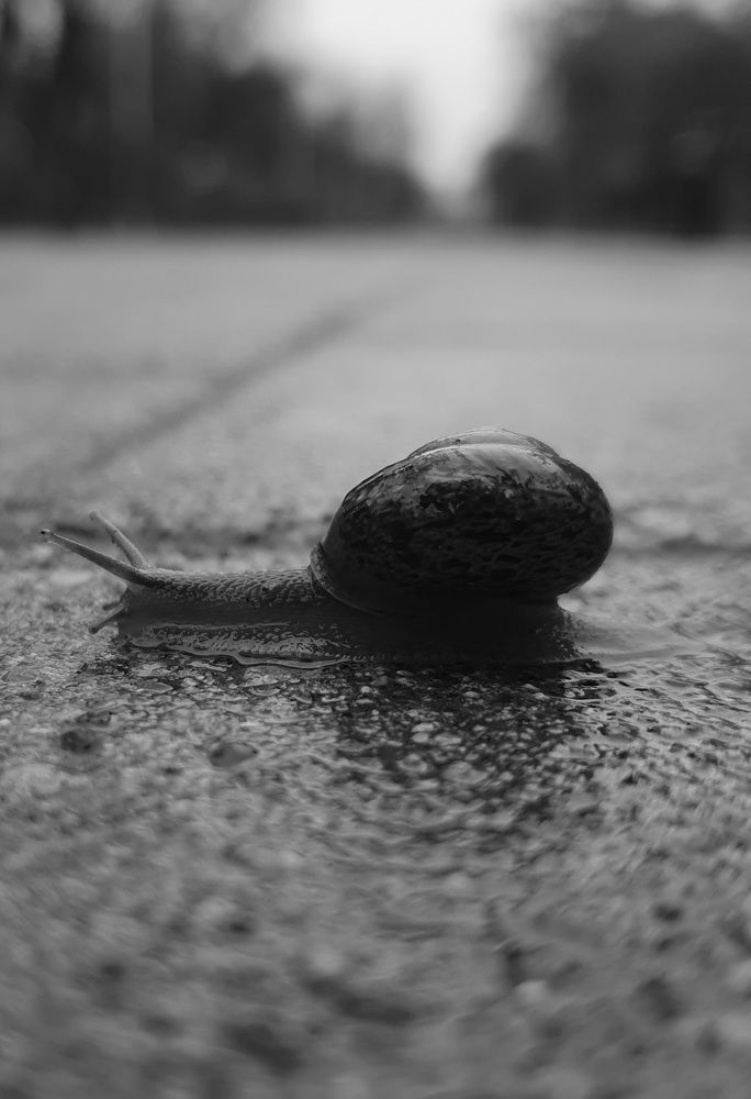 Photograph by Амир Афаунов