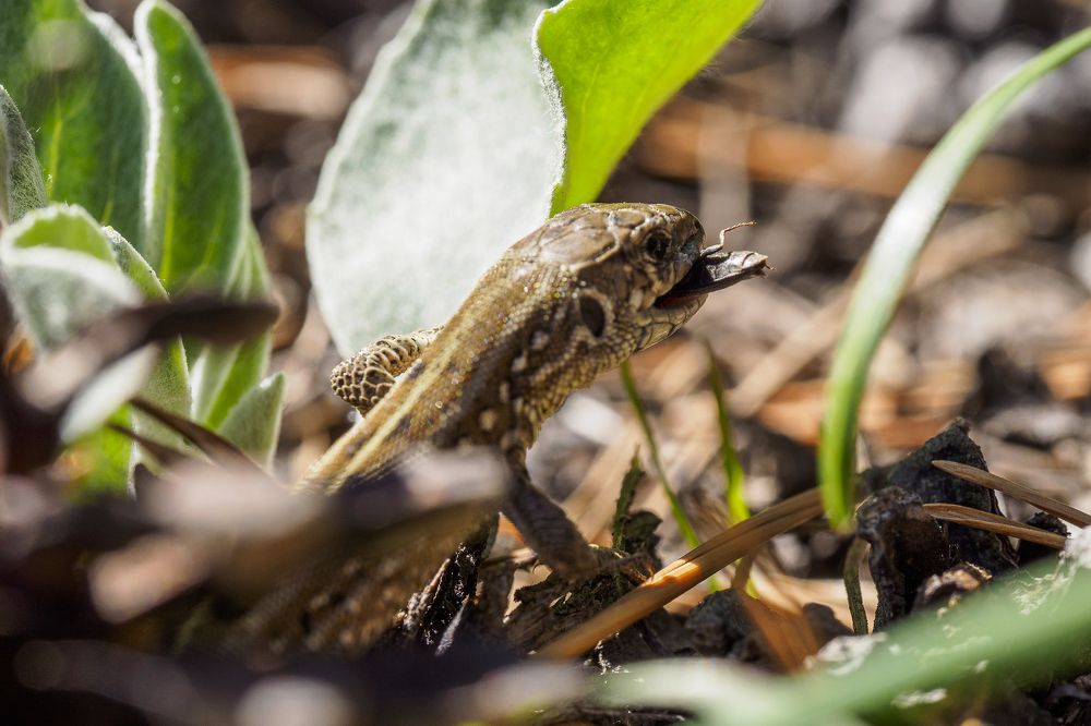 Photograph by Азат Кадиров