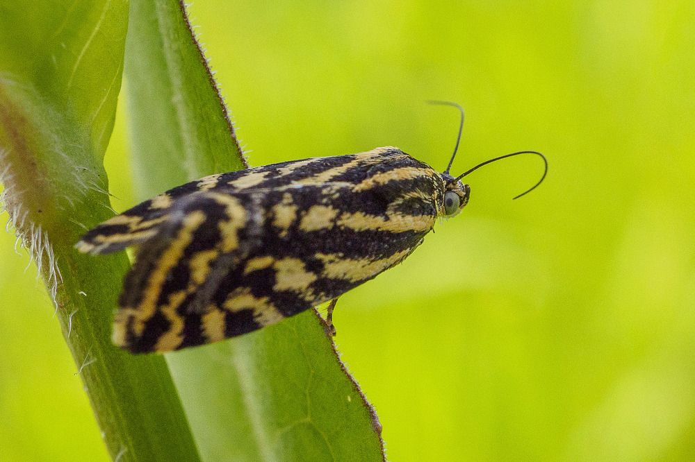 Photograph by Азат Кадиров