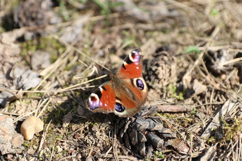 Photograph by Влад Барышов