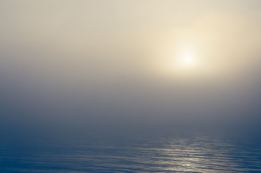 Photograph by Anikin Dimitriy