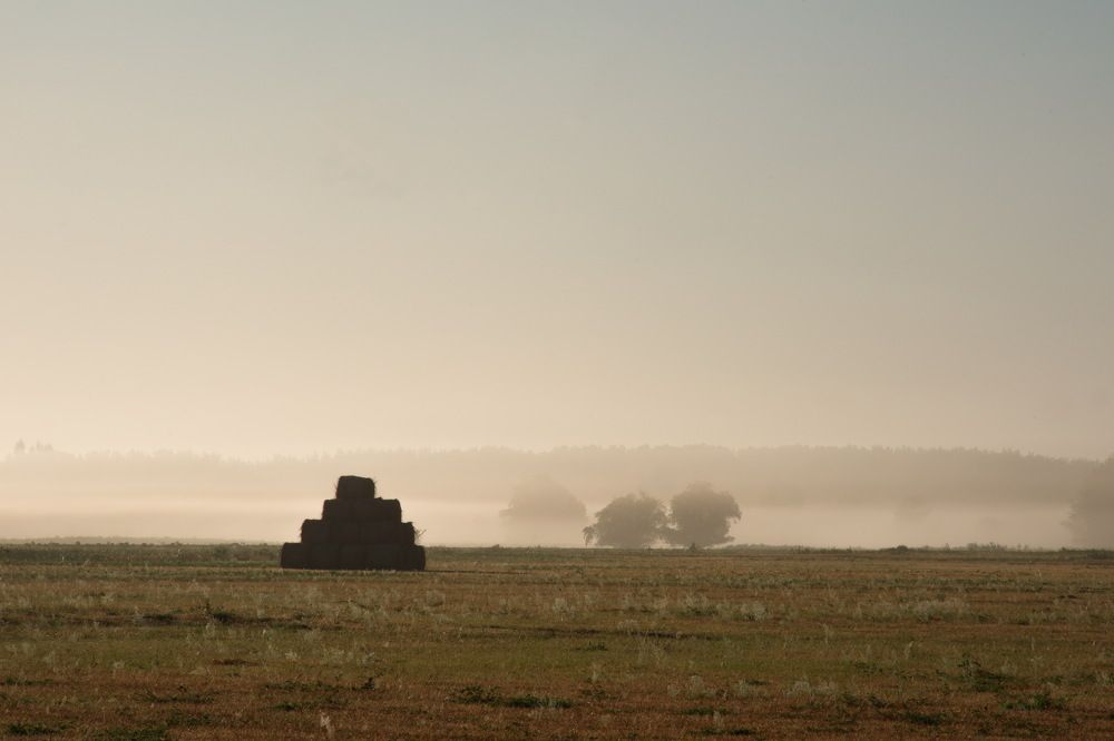 Фотография автора Медведев Сергей
