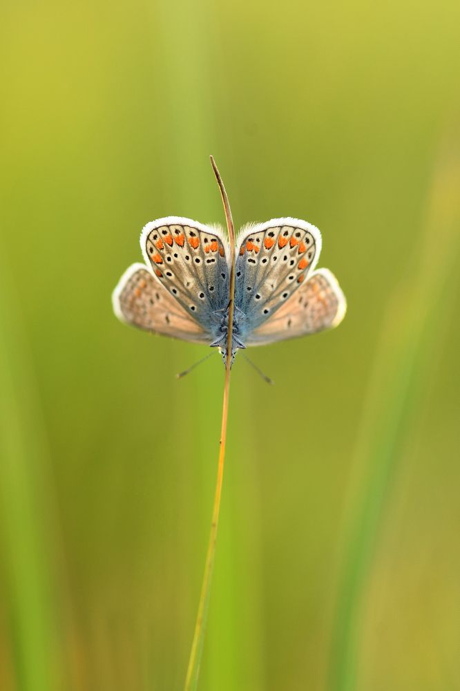 Photograph by Наталия Шинкевич