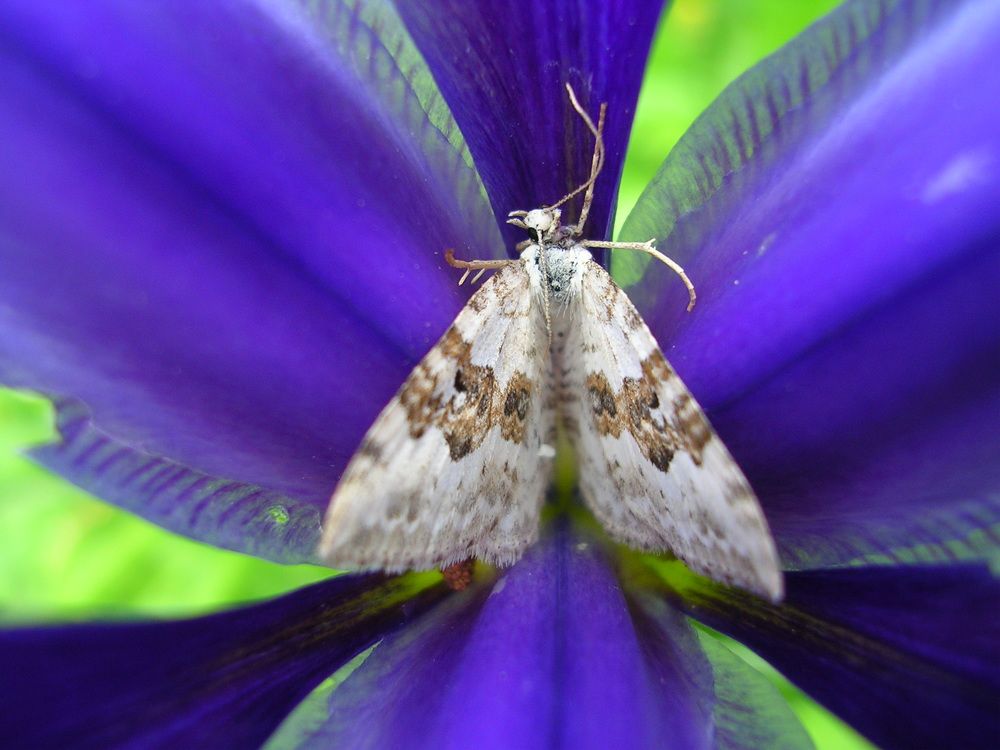 Photograph by Анна Шекурова