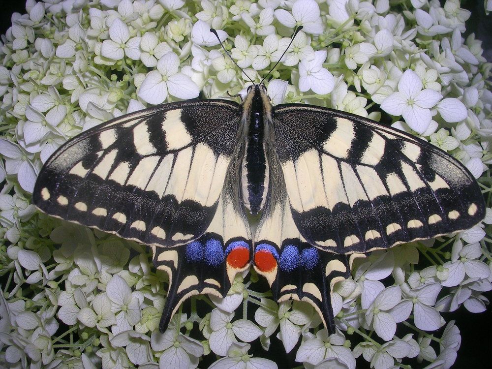 Photograph by Анна Шекурова