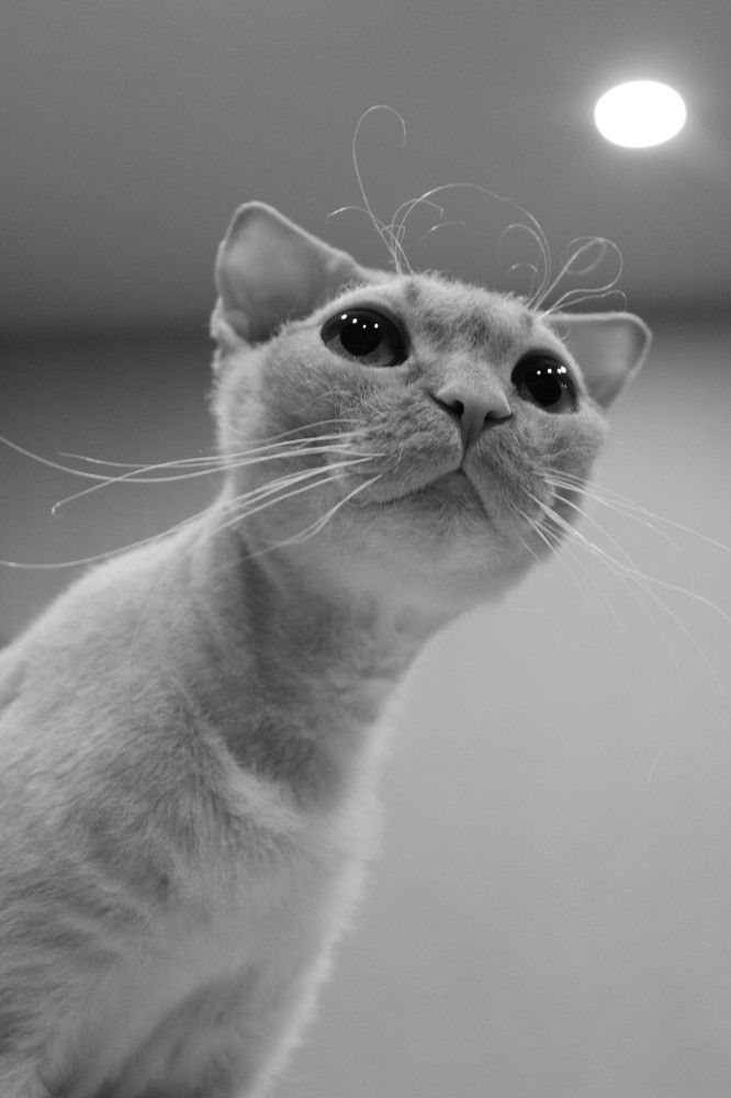 Photograph by Надежда