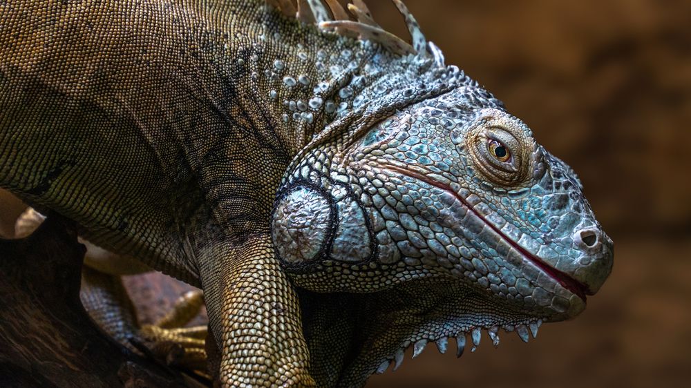 Photograph by Khazov Artem