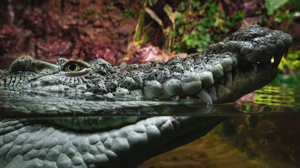 Photograph by Khazov Artem