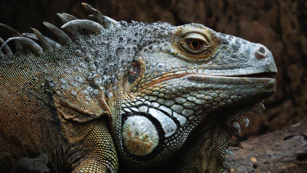 Photograph by Khazov Artem