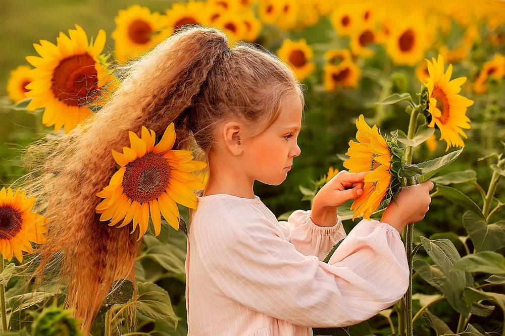 Девочка и подсолнух