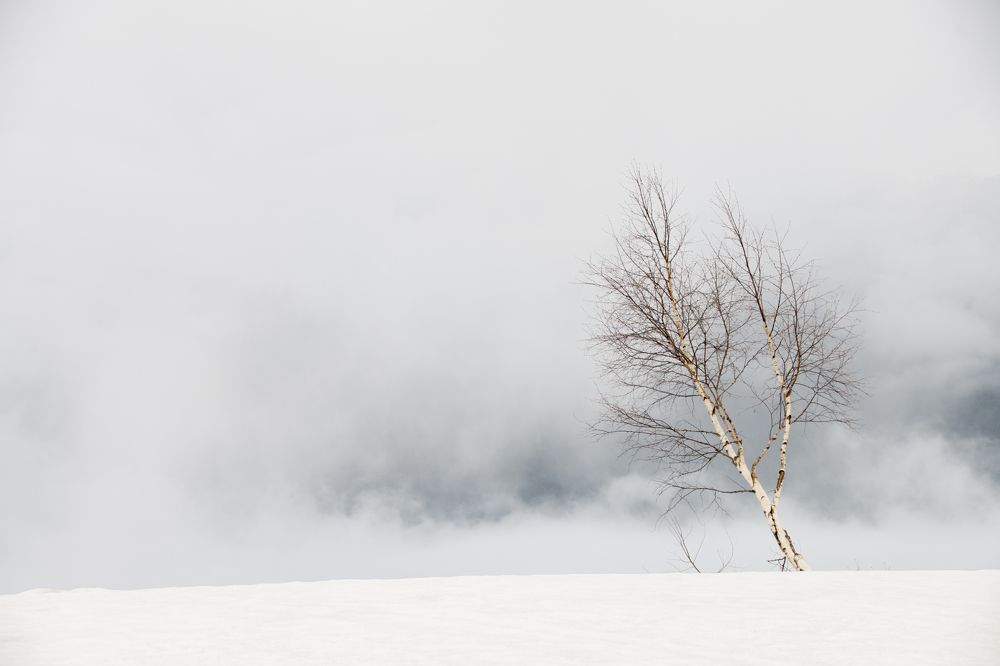 Photograph by Екатерина Якель