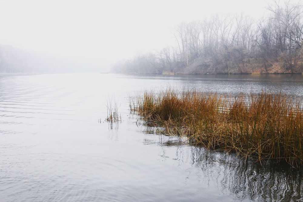 Photograph by Екатерина Якель