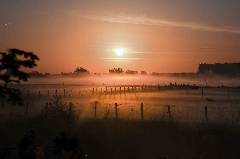Фотография автора Elena Van Melkebeek