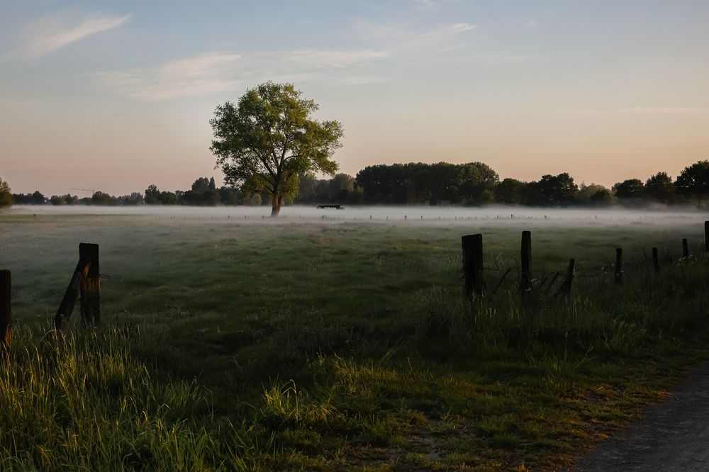 Фотография автора Elena Van Melkebeek