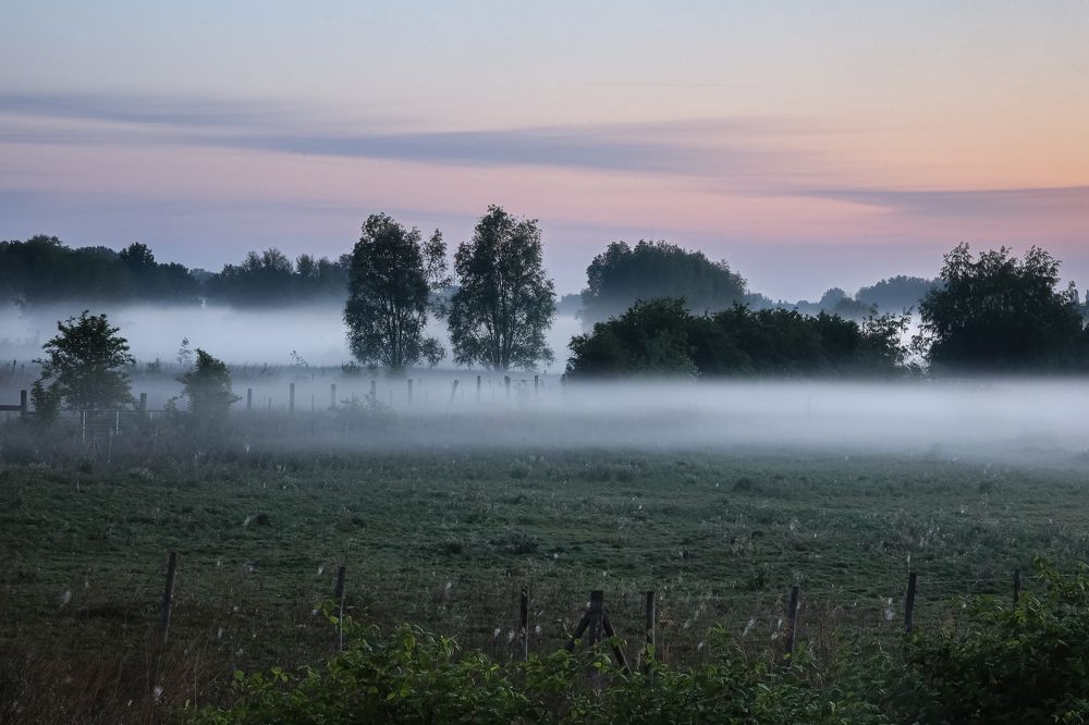 Фотография автора Elena Van Melkebeek