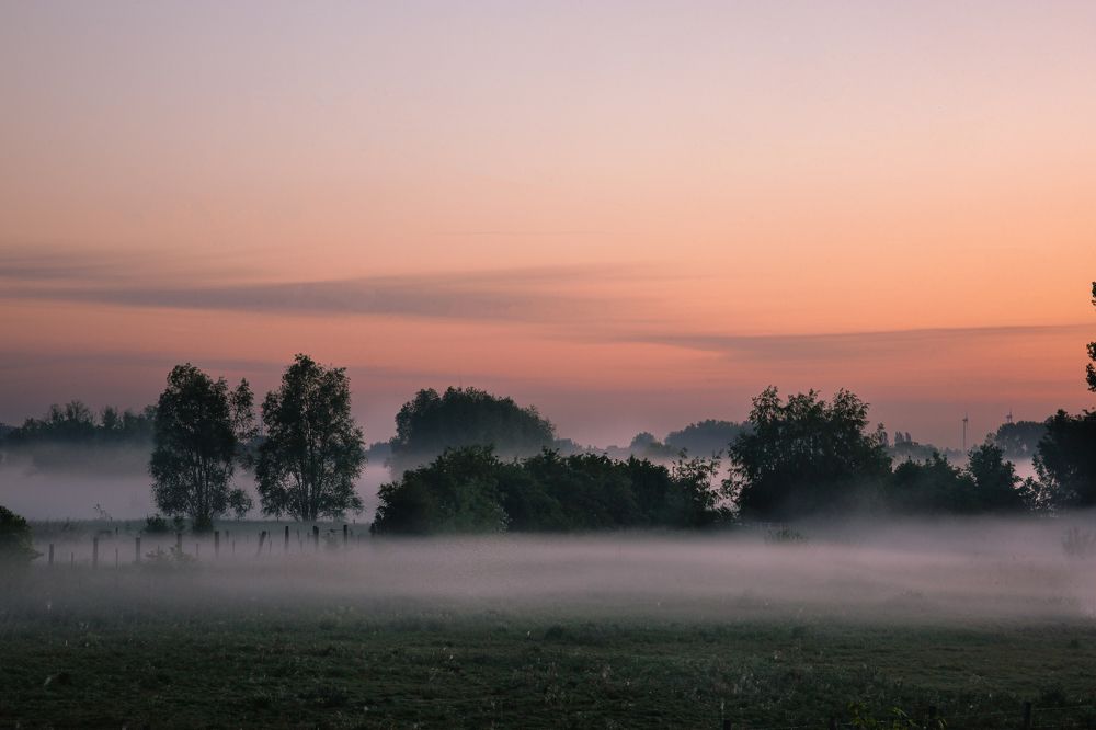 Фотография автора Elena Van Melkebeek