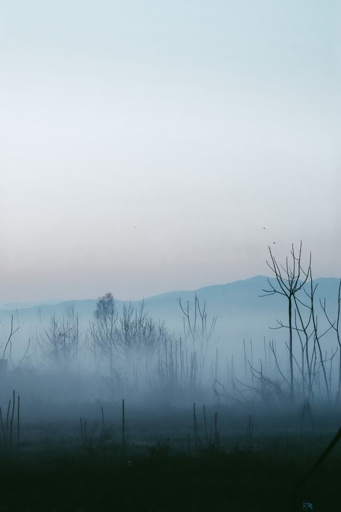 Фотография автора Akram