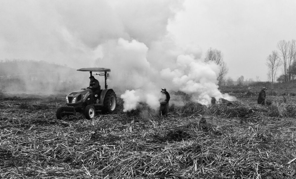 Фотография автора Orhan Bektaş