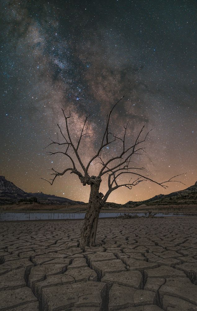 Photograph by José María Crisol Oca