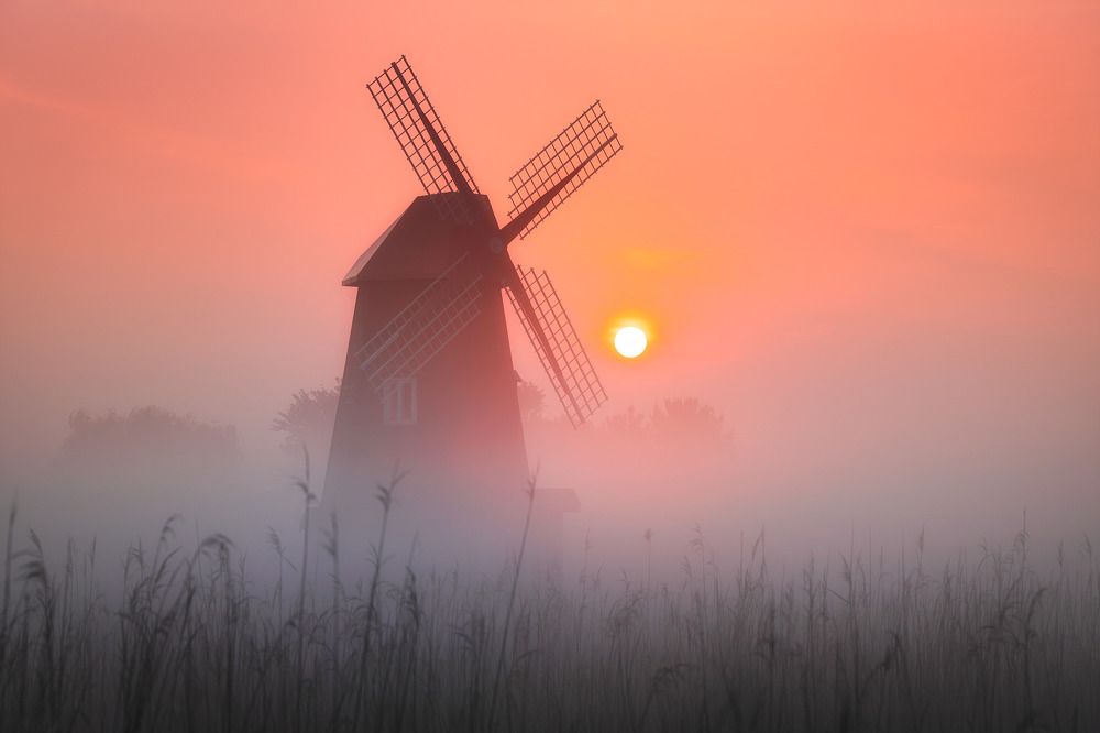 Photograph by Vu Van Minh