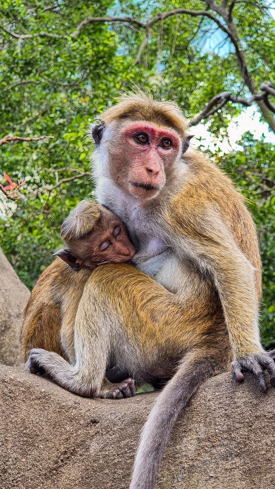 Photograph by Юлия Терентьева