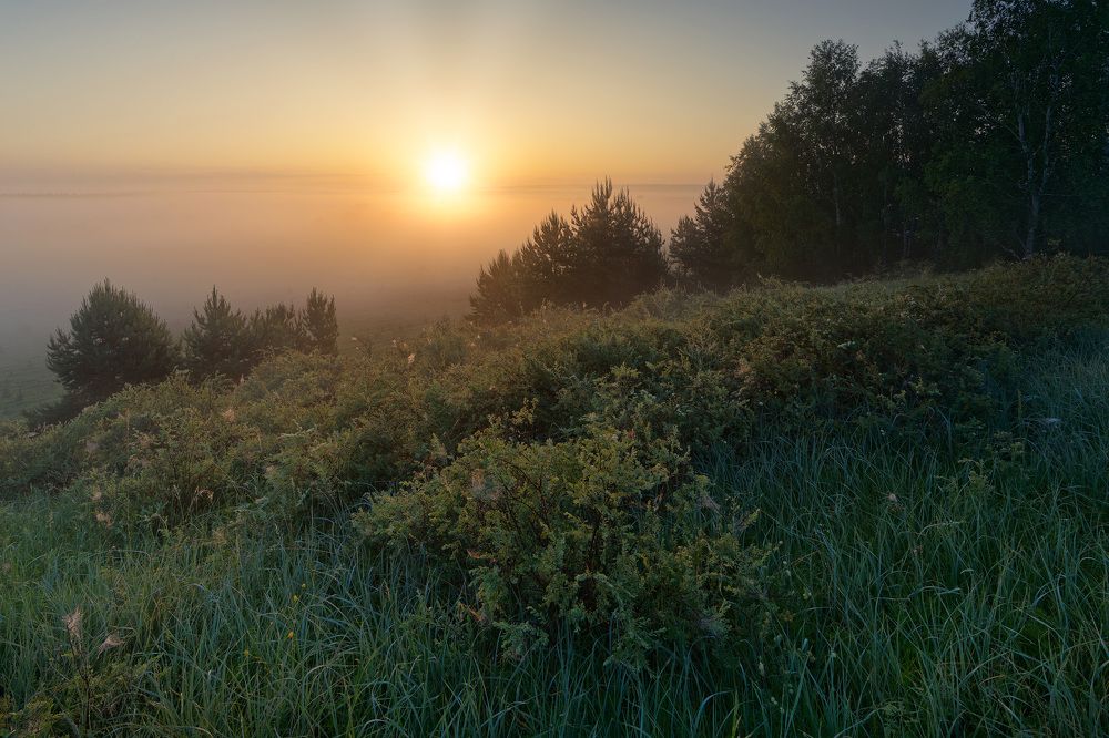 Photograph by Григорий Шалик