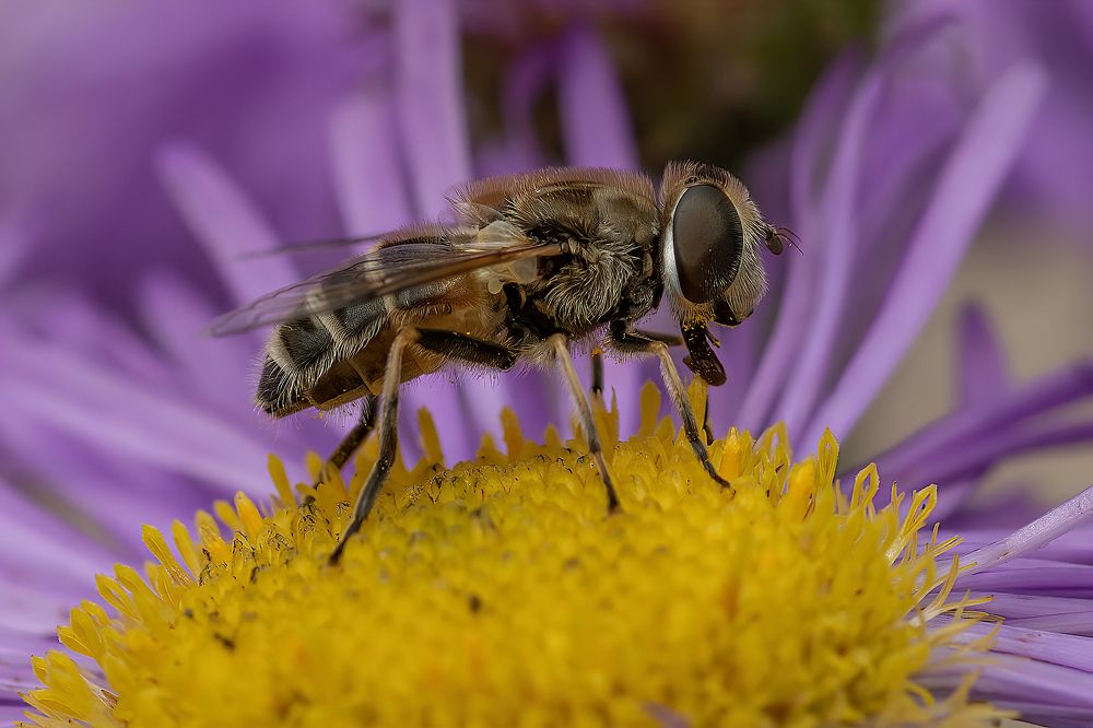 Photograph by Djordje Filipovic