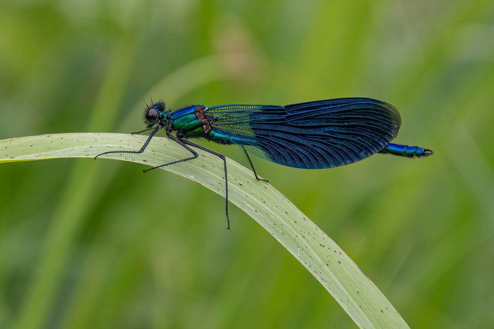 Photograph by Djordje Filipovic