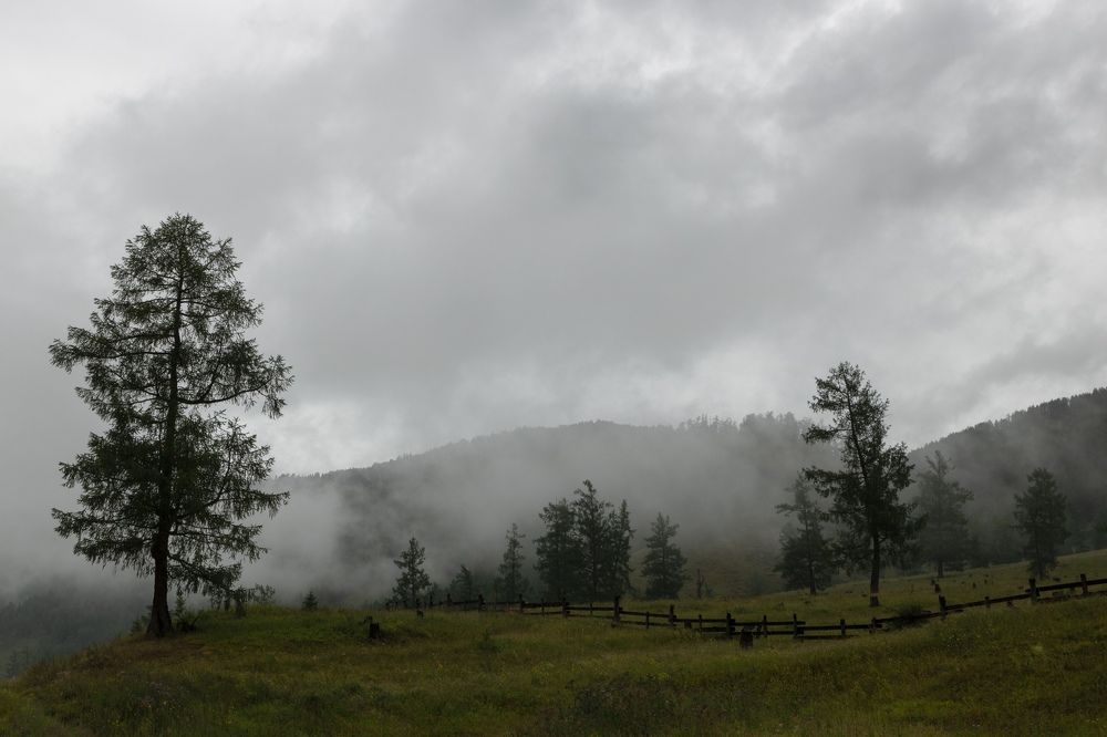 Photograph by Александр Лунин