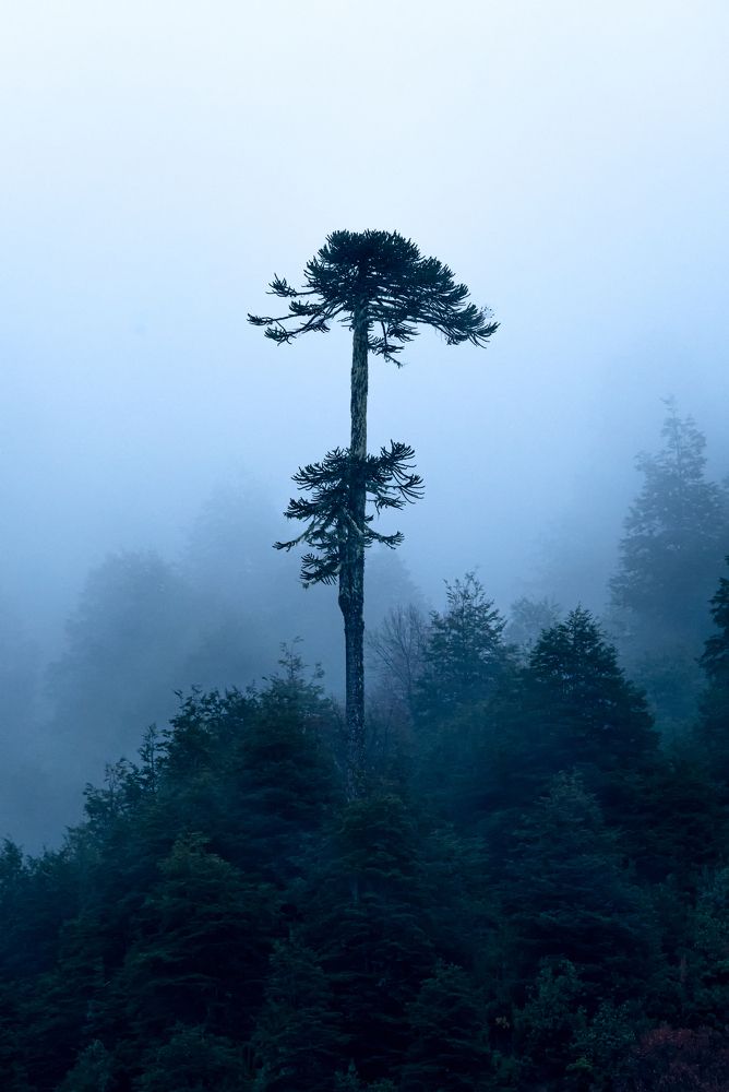 Photograph by Eduardo Muñoz