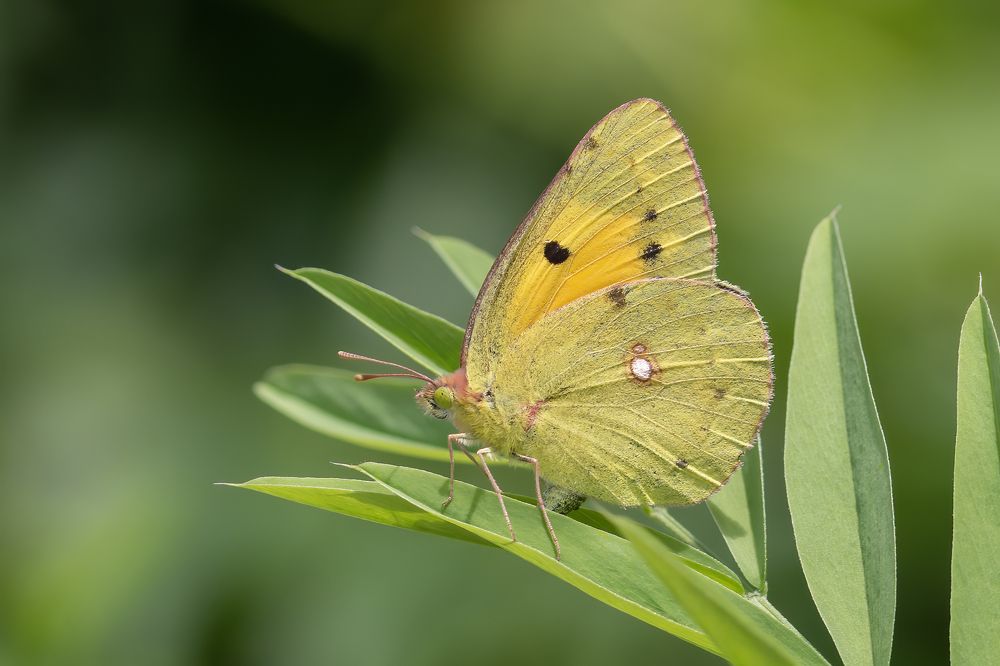 Photograph by Djordje Filipovic