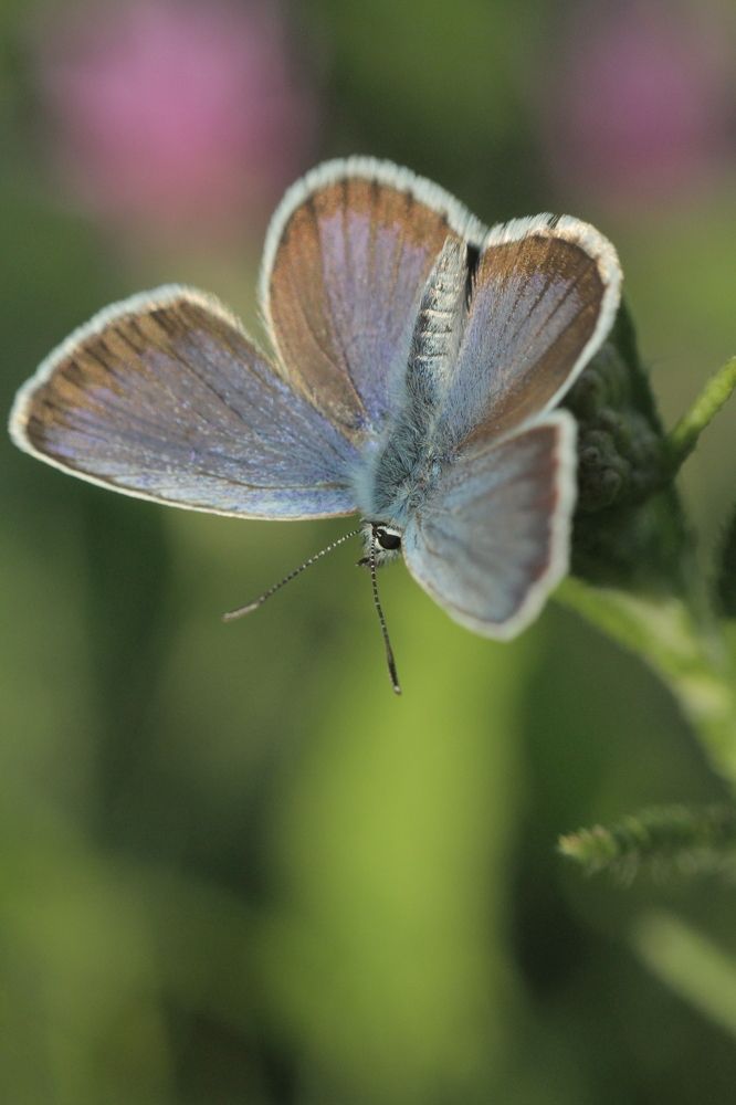 Photograph by Марина Савченко