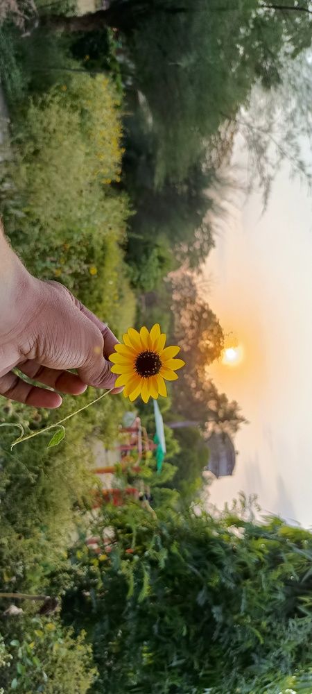 Photograph by Rohit Kumar