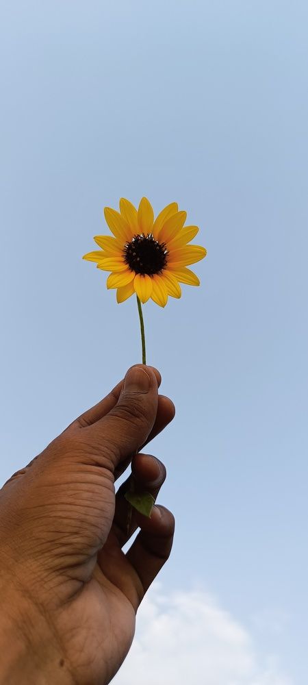 Photograph by Rohit Kumar