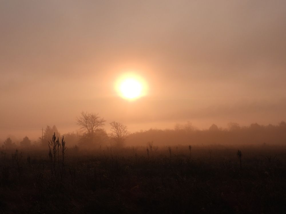 Фотография автора Соколов Владимир