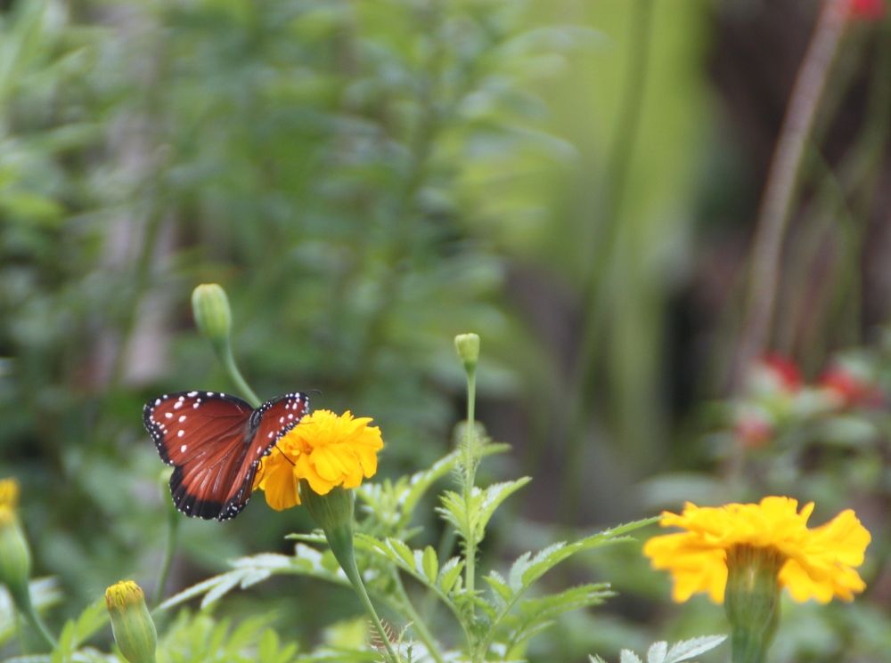 Photograph by Victor Manuel Torno