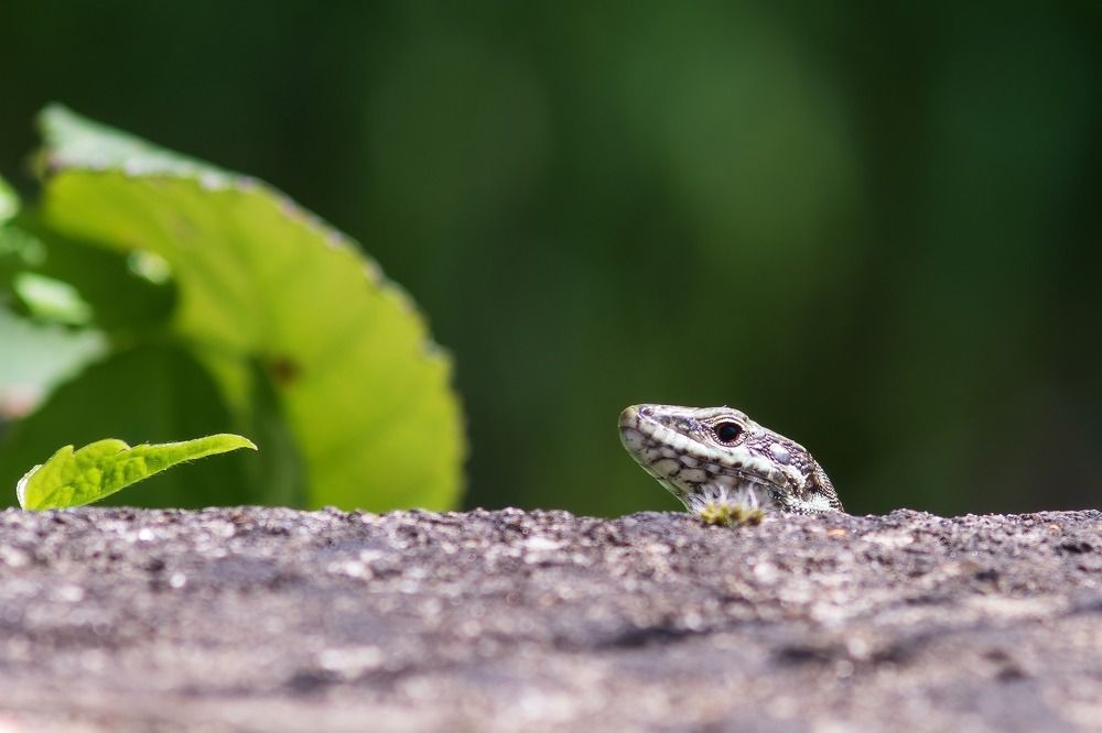 Photograph by Djordje Filipovic