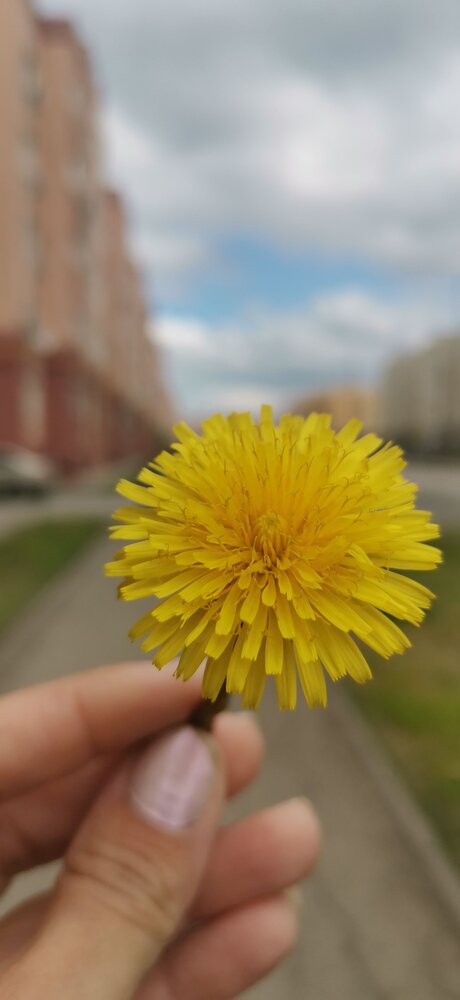 Photograph by Галина Алексеенко