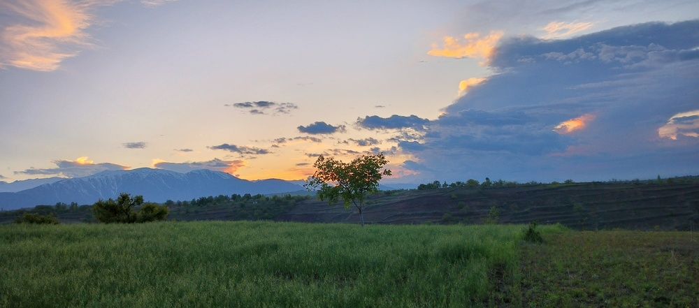 Photograph by Manzoor Ahmad