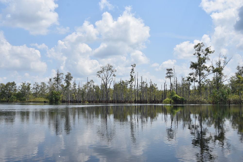 Photograph by Daniyan Aulia Rahman